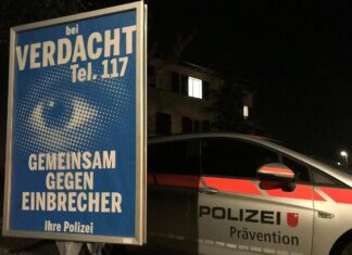 Zwei Festnahmen nach mehreren Diebstählen