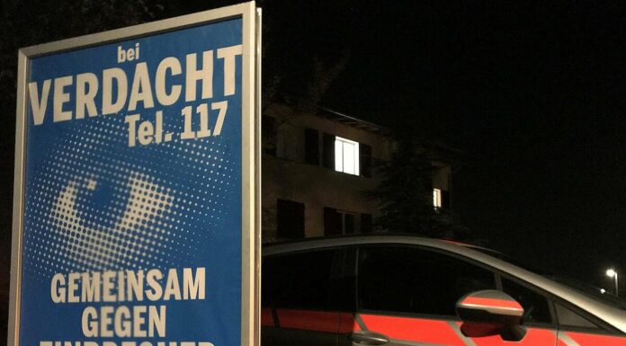 Zwei Festnahmen nach mehreren Diebstählen