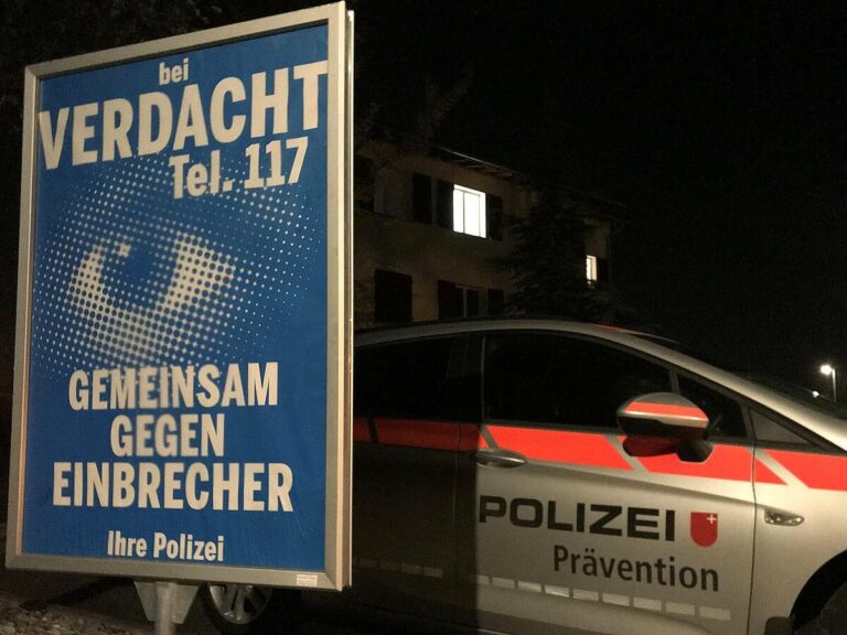 Zwei Festnahmen nach mehreren Diebstählen