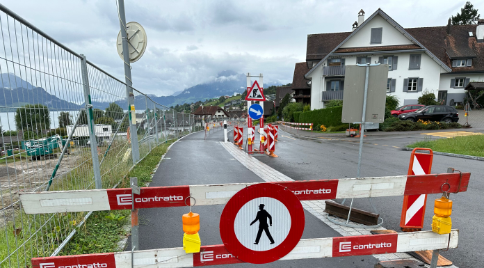 Schulweg & Fussgängerführung Merlischachen