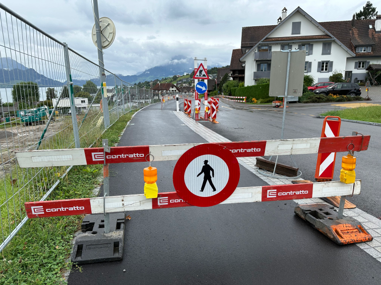 Schulweg & Fussgängerführung Merlischachen