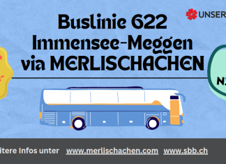 Bessere ÖV-Anbindung durch Busverkehr in Merlischachen